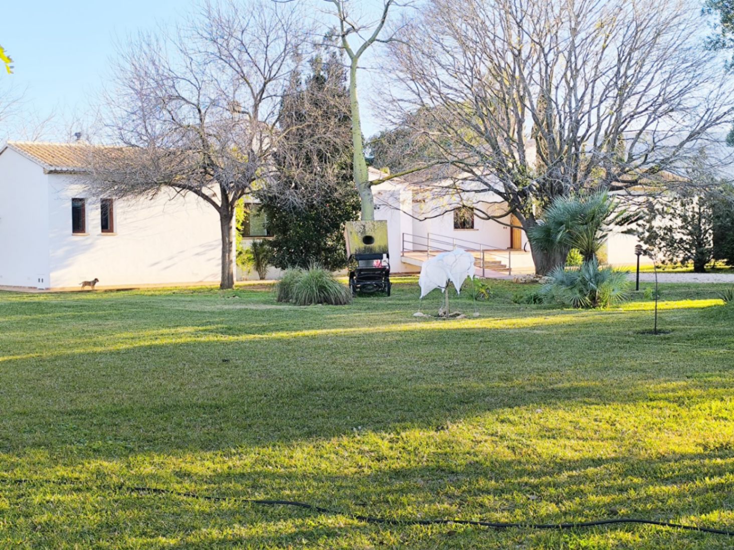 Villa con piscina privada en venta Ondara