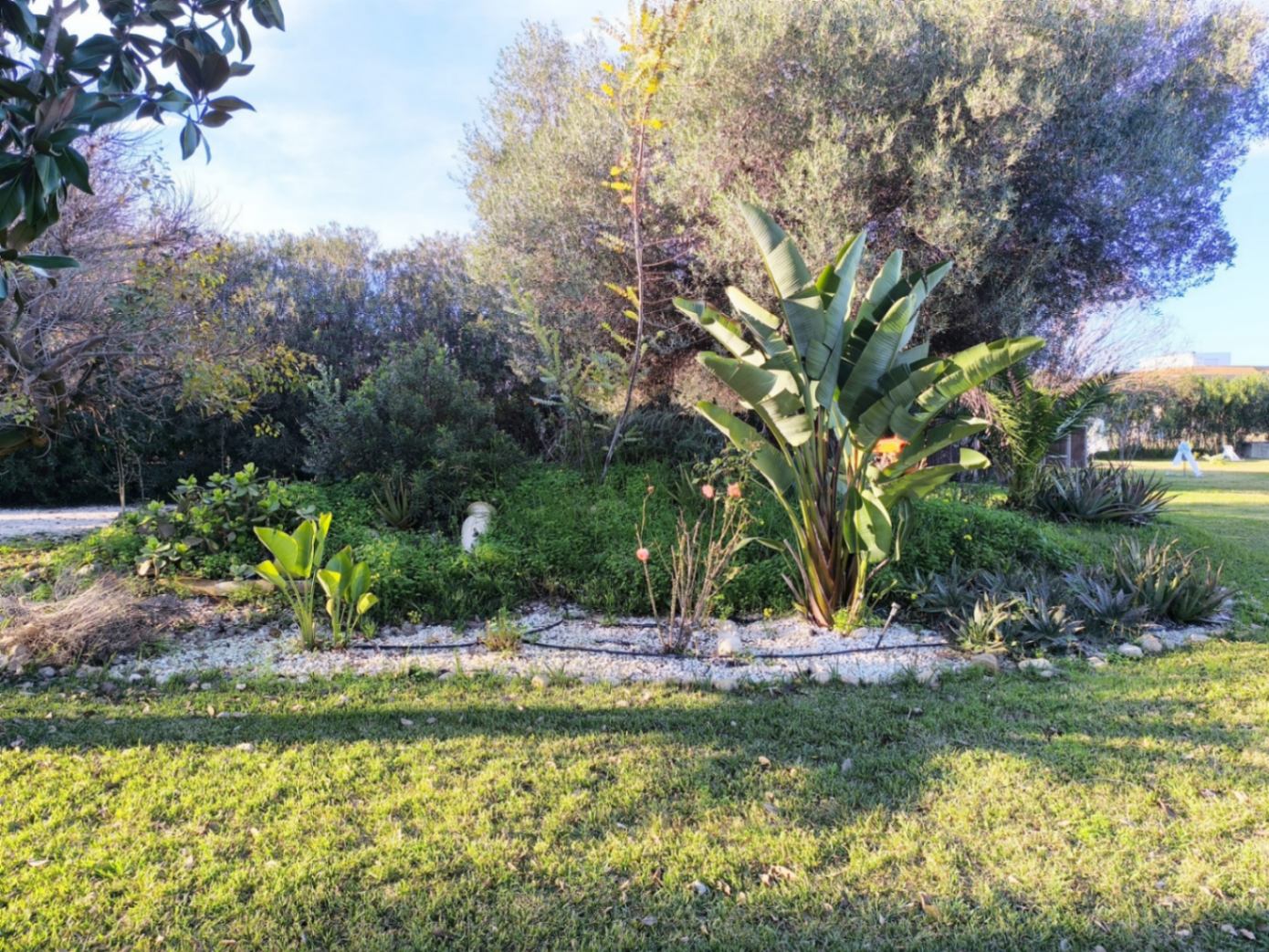 Villa con piscina privada en venta Ondara
