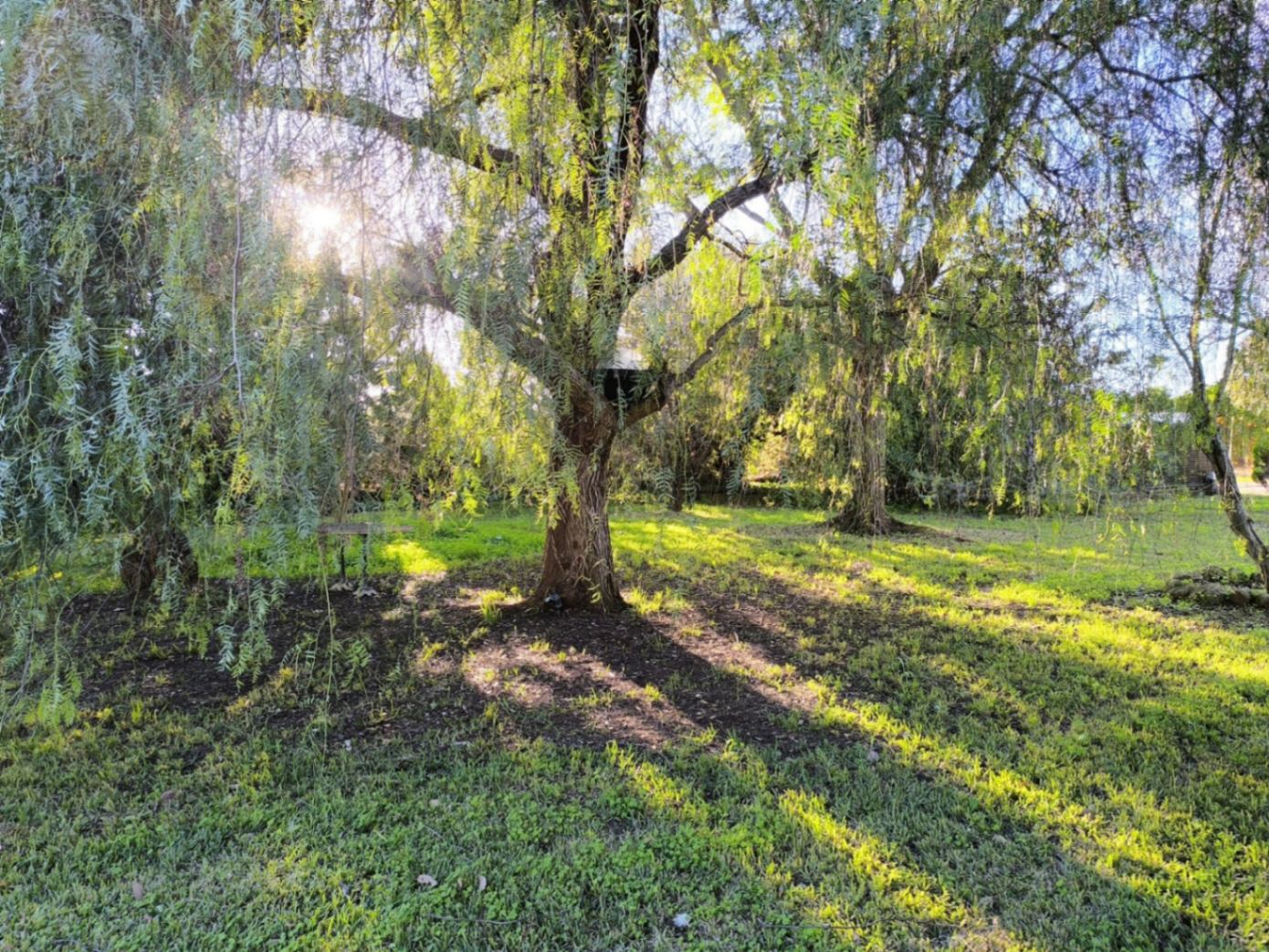 Villa con piscina privada en venta Ondara